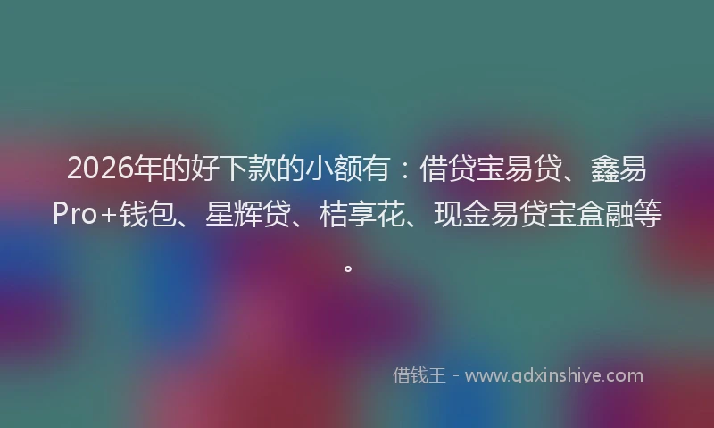 2026年的好下款的小额有：借贷宝易贷、鑫易Pro+钱包、星辉贷、桔享花、现金易贷宝盒融等。