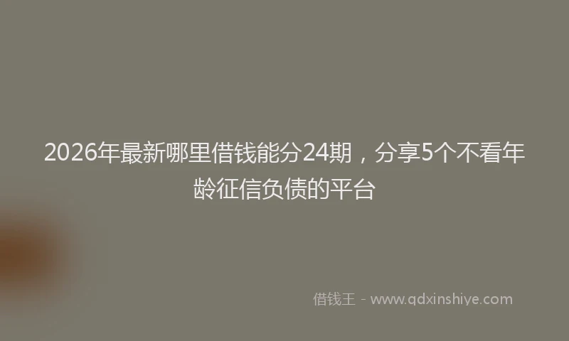 2026年最新哪里借钱能分24期，分享5个不看年龄征信负债的平台