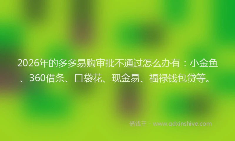 2026年的多多易购审批不通过怎么办有：小金鱼、360借条、口袋花、现金易、福禄钱包贷等。