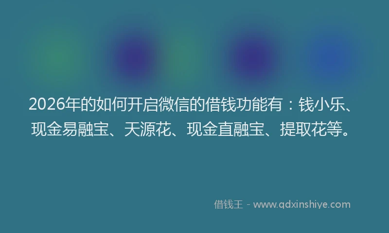 2026年的如何开启微信的借钱功能有：钱小乐、现金易融宝、天源花、现金直融宝、提取花等。