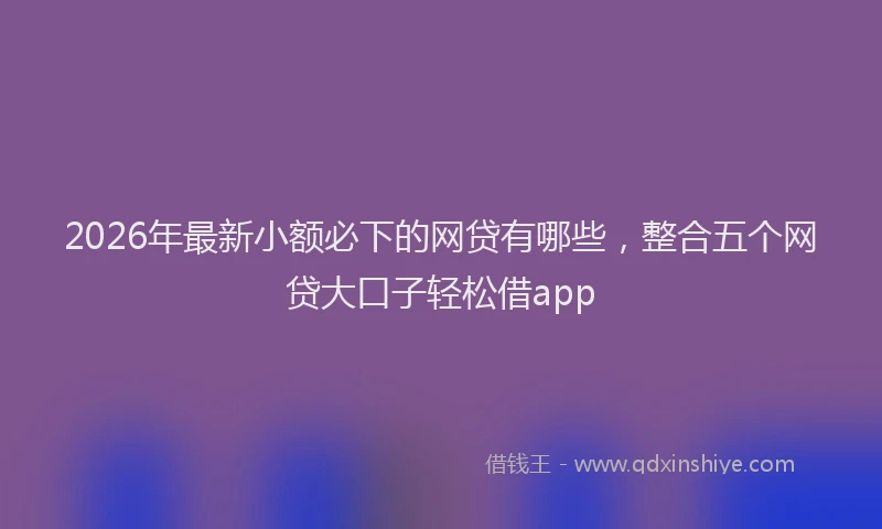 2026年最新小额必下的网贷有哪些，整合五个网贷大口子轻松借app