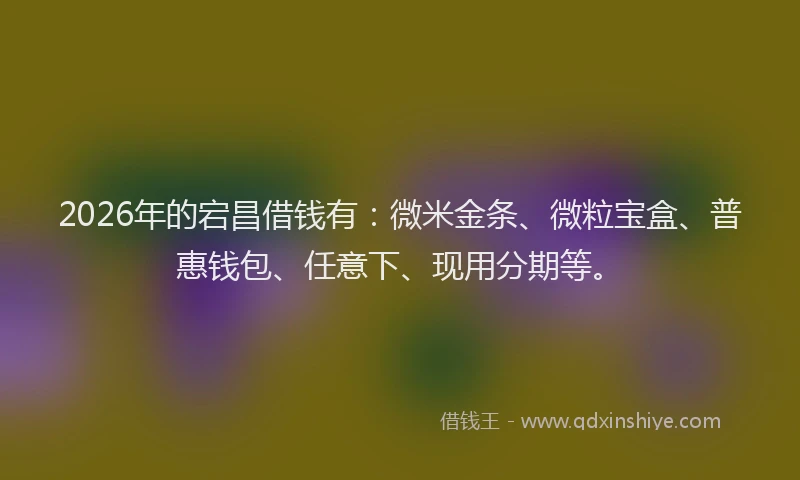 2026年的宕昌借钱有：微米金条、微粒宝盒、普惠钱包、任意下、现用分期等。
