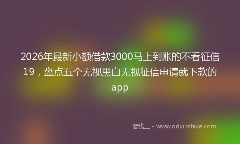 2026年最新小额借款3000马上到账的不看征信19，盘点五个无视黑白无视征信申请就下款的app