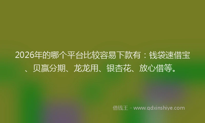 2026年的哪个平台比较容易下款有：钱袋速借宝、贝赢分期、龙龙用、银杏花、放心借等。