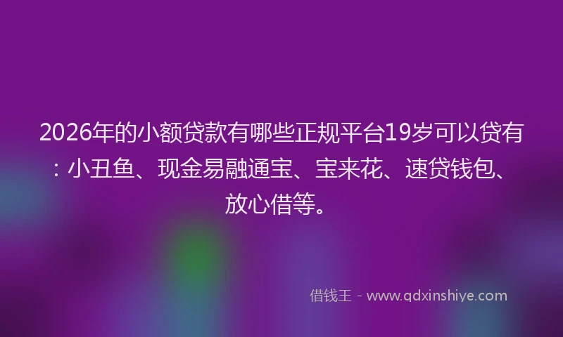 2026年的小额贷款有哪些正规平台19岁可以贷有：小丑鱼、现金易融通宝、宝来花、速贷钱包、放心借等。