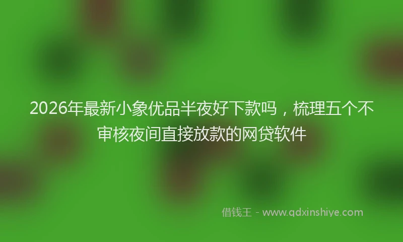 2026年最新小象优品半夜好下款吗，梳理五个不审核夜间直接放款的网贷软件