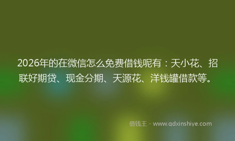 2026年的在微信怎么免费借钱呢有:天小花、招联好期贷、现金分期、天源花、洋钱罐借款等。