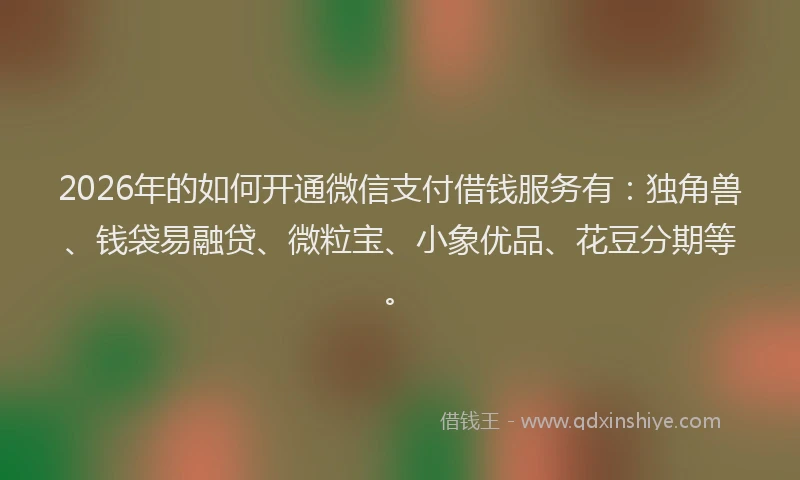 2026年的如何开通微信支付借钱服务有：独角兽、钱袋易融贷、微粒宝、小象优品、花豆分期等。