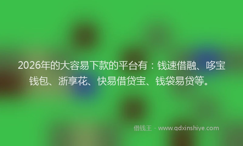 2026年的大容易下款的平台有：钱速借融、哆宝钱包、浙享花、快易借贷宝、钱袋易贷等。
