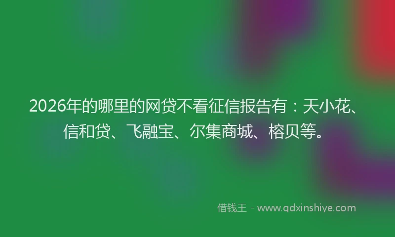 2026年的哪里的网贷不看征信报告有:天小花、信和贷、飞融宝、尔集商城、榕贝等。
