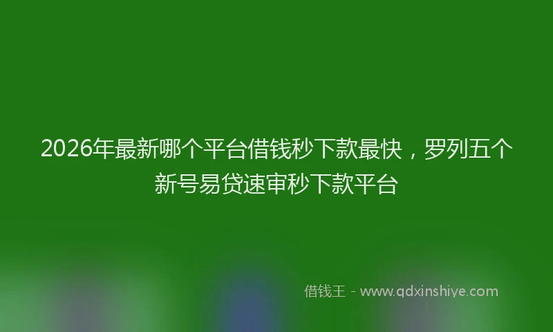 2026年最新哪个平台借钱秒下款最快，罗列五个新号易贷速审秒下款平台