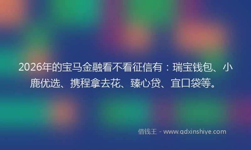 2026年的宝马金融看不看征信有：瑞宝钱包、小鹿优选、携程拿去花、臻心贷、宜口袋等。