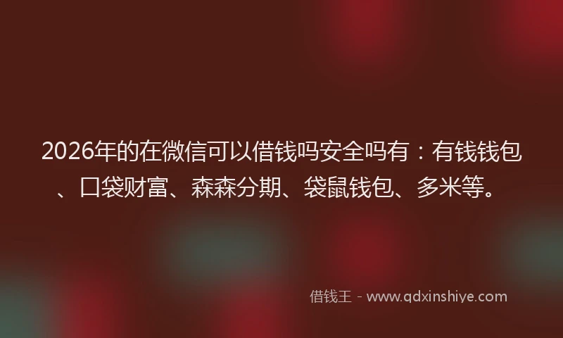 2026年的在微信可以借钱吗安全吗有：有钱钱包、口袋财富、森森分期、袋鼠钱包、多米等。