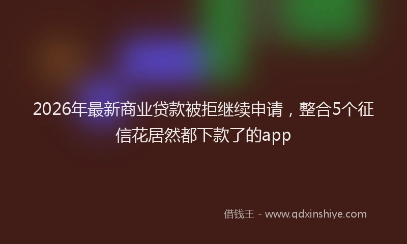 2026年最新商业贷款被拒继续申请,整合5个征信花居然都下款了的app