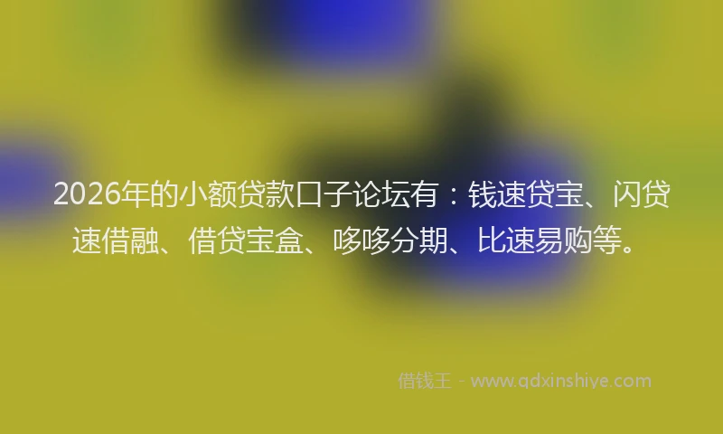 2026年的小额贷款口子论坛有：钱速贷宝、闪贷速借融、借贷宝盒、哆哆分期、比速易购等。