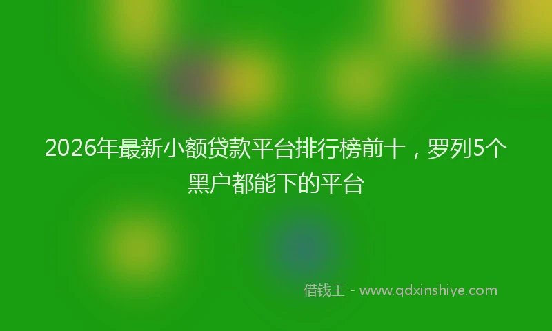 2026年最新小额贷款平台排行榜前十，罗列5个黑户都能下的平台