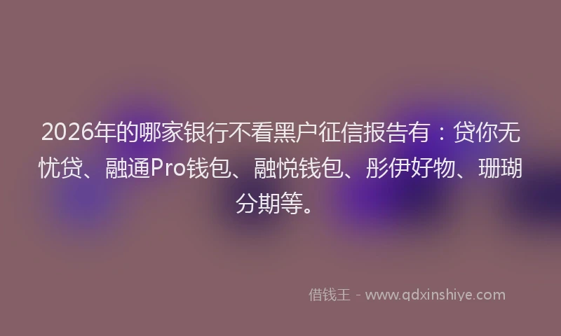 2026年的哪家银行不看黑户征信报告有：贷你无忧贷、融通Pro钱包、融悦钱包、彤伊好物、珊瑚分期等。