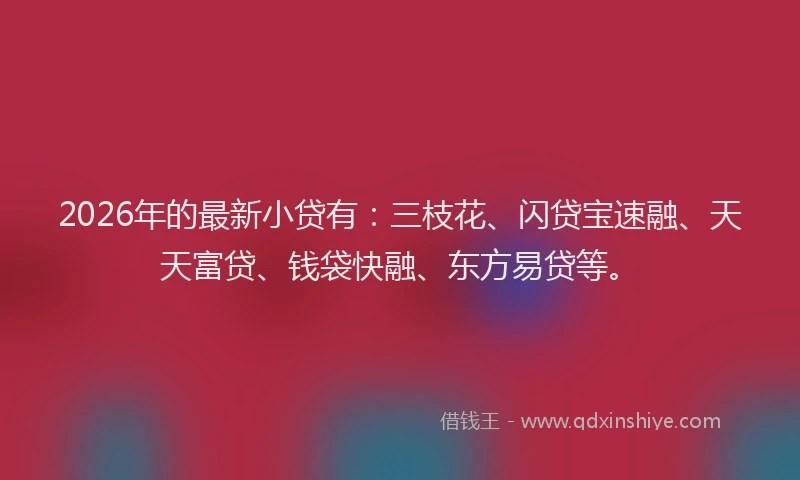 2026年的最新小贷有：三枝花、闪贷宝速融、天天富贷、钱袋快融、东方易贷等。