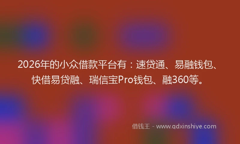 2026年的小众借款平台有：速贷通、易融钱包、快借易贷融、瑞信宝Pro钱包、融360等。