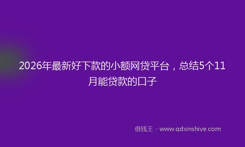 2026年最新好下款的小额网贷平台，总结5个11月能贷款的口子
