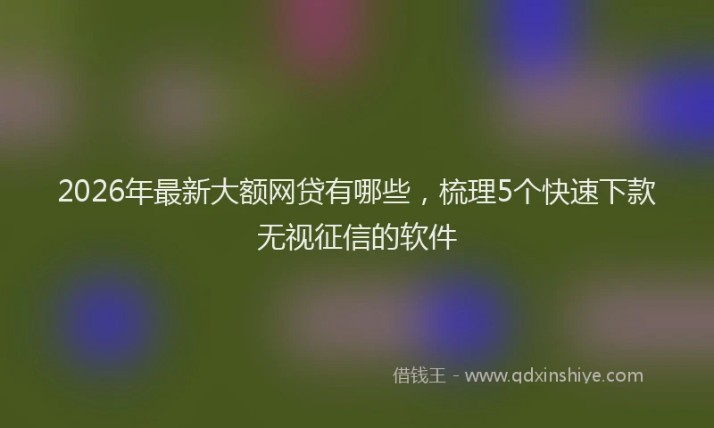 2026年最新大额网贷有哪些，梳理5个快速下款无视征信的软件