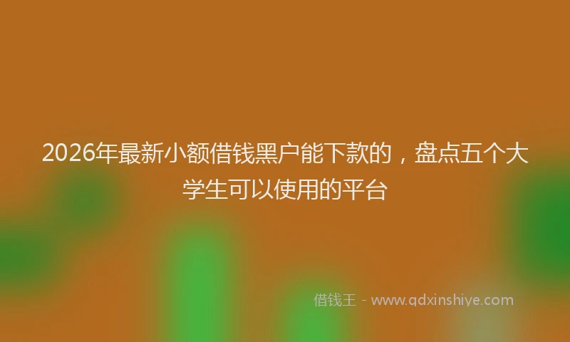 2026年最新小额借钱黑户能下款的，盘点五个大学生可以使用的平台