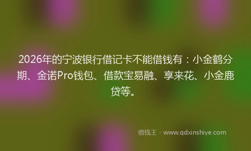2026年的宁波银行借记卡不能借钱有：小金鹤分期、金诺Pro钱包、借款宝易融、享来花、小金鹿贷等。
