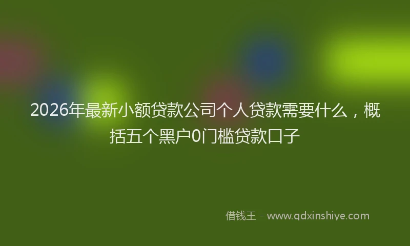 2026年最新小额贷款公司个人贷款需要什么，概括五个黑户0门槛贷款口子