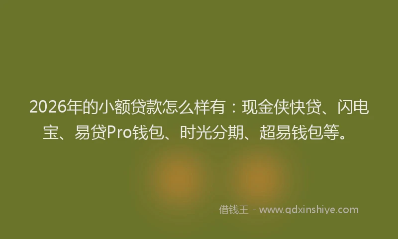 2026年的小额贷款怎么样有：现金侠快贷、闪电宝、易贷Pro钱包、时光分期、超易钱包等。