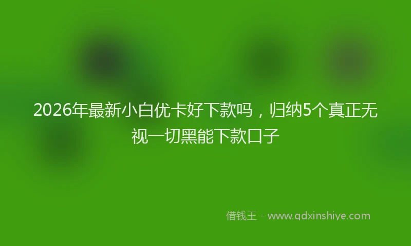 2026年最新小白优卡好下款吗，归纳5个真正无视一切黑能下款口子