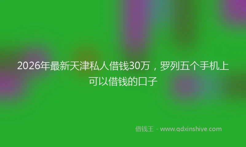 2026年最新天津私人借钱30万，罗列五个手机上可以借钱的口子
