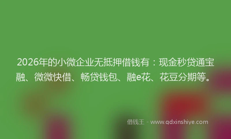 2026年的小微企业无抵押借钱有：现金秒贷通宝融、微微快借、畅贷钱包、融e花、花豆分期等。