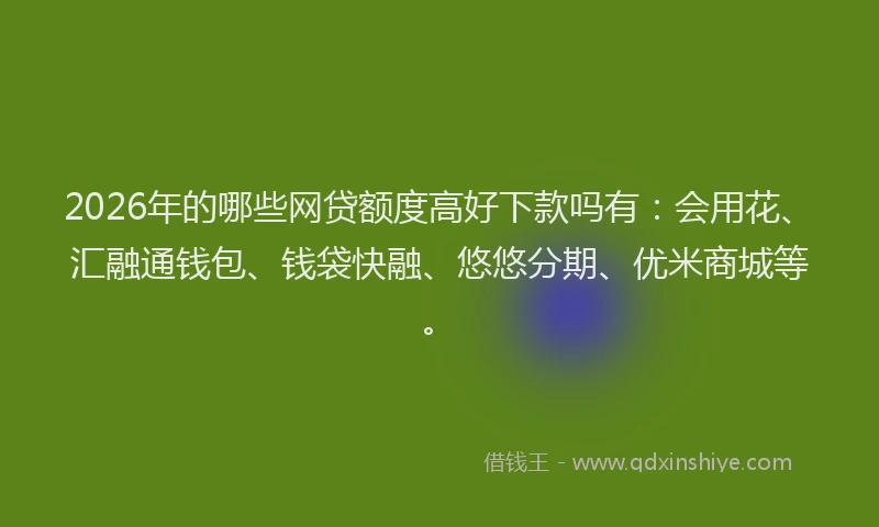 2026年的哪些网贷额度高好下款吗有：会用花、汇融通钱包、钱袋快融、悠悠分期、优米商城等。