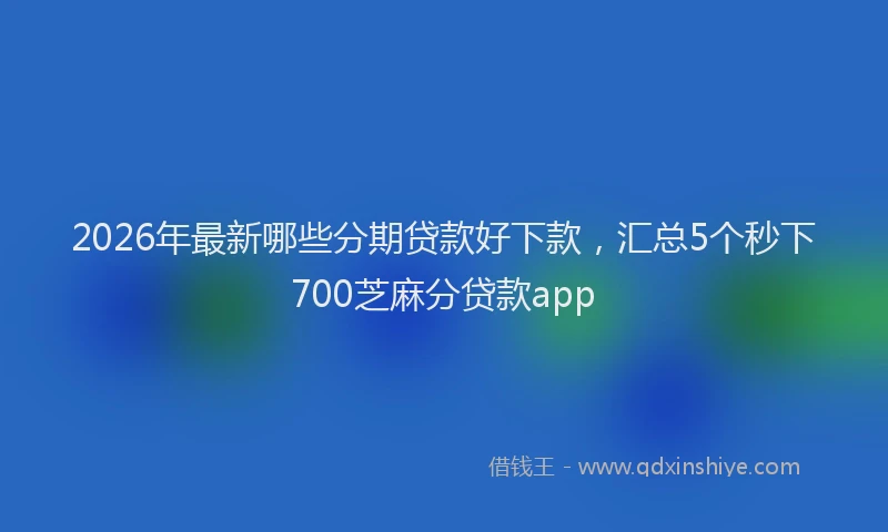 2026年最新哪些分期贷款好下款，汇总5个秒下700芝麻分贷款app