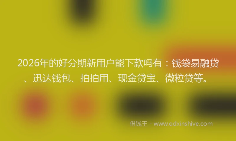 2026年的好分期新用户能下款吗有：钱袋易融贷、迅达钱包、拍拍用、现金贷宝、微粒贷等。