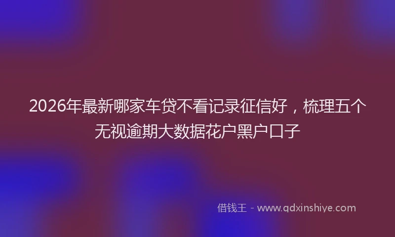 2026年最新哪家车贷不看记录征信好,梳理五个无视逾期大数据花户黑户口子