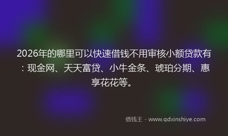 2026年的哪里可以快速借钱不用审核小额贷款有：现金网、天天富贷、小牛金条、琥珀分期、惠享花花等。