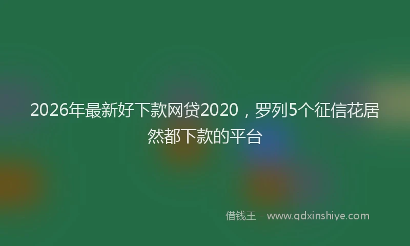 2026年最新好下款网贷2020，罗列5个征信花居然都下款的平台