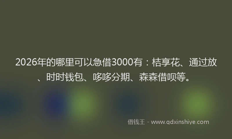 2026年的哪里可以急借3000有：桔享花、通过放、时时钱包、哆哆分期、森森借呗等。