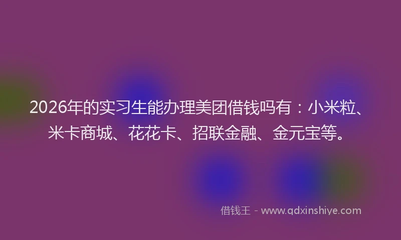 2026年的实习生能办理美团借钱吗有：小米粒、米卡商城、花花卡、招联金融、金元宝等。
