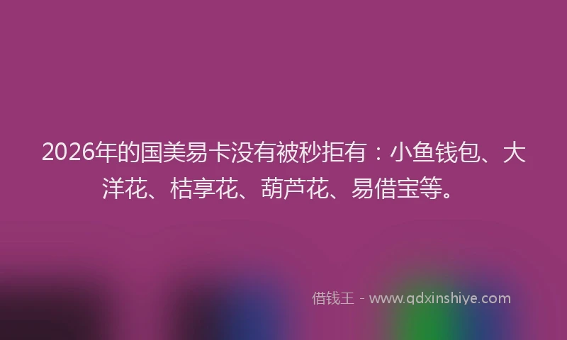2026年的国美易卡没有被秒拒有：小鱼钱包、大洋花、桔享花、葫芦花、易借宝等。