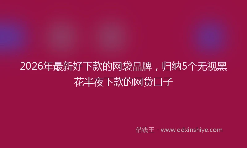 2026年最新好下款的网袋品牌,归纳5个无视黑花半夜下款的网贷口子