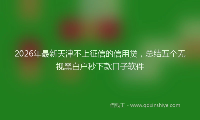 2026年最新天津不上征信的信用贷,总结五个无视黑白户秒下款口子软件