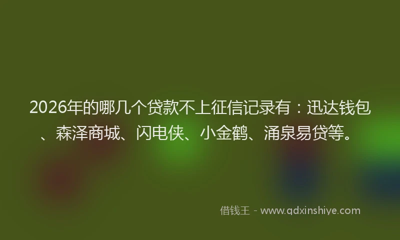 2026年的哪几个贷款不上征信记录有:迅达钱包、森泽商城、闪电侠、小金鹤、涌泉易贷等。