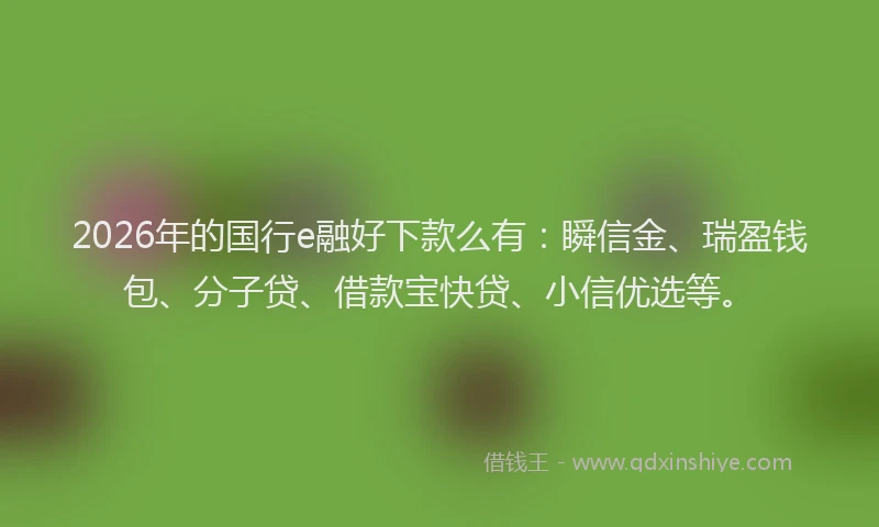 2026年的国行e融好下款么有：瞬信金、瑞盈钱包、分子贷、借款宝快贷、小信优选等。