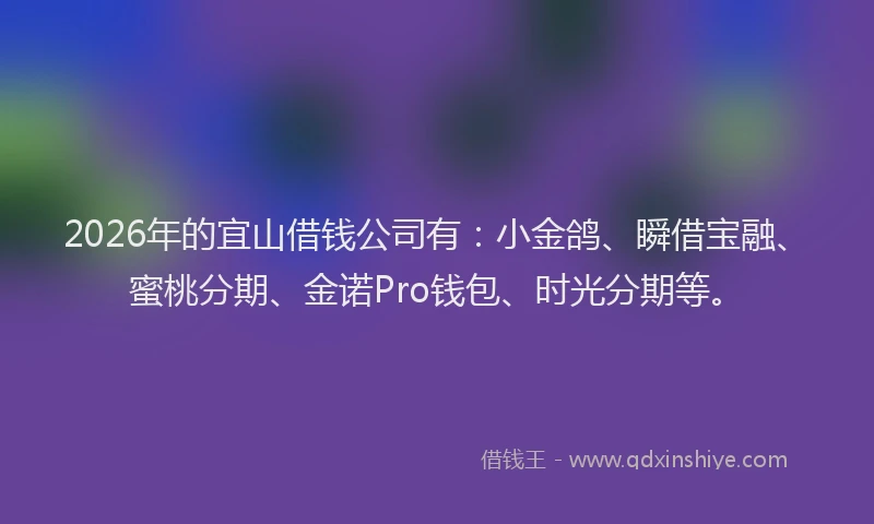 2026年的宜山借钱公司有：小金鸽、瞬借宝融、蜜桃分期、金诺Pro钱包、时光分期等。