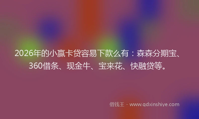 2026年的小赢卡贷容易下款么有：森森分期宝、360借条、现金牛、宝来花、快融贷等。