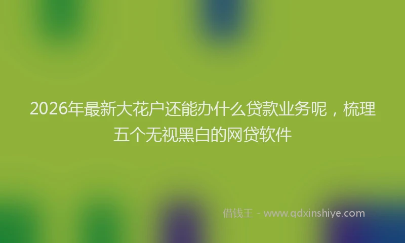 2026年最新大花户还能办什么贷款业务呢,梳理五个无视黑白的网贷软件