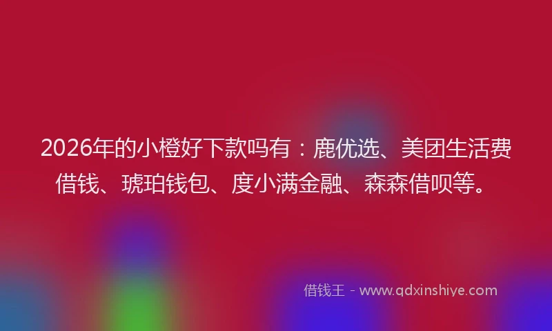 2026年的小橙好下款吗有：鹿优选、美团生活费借钱、琥珀钱包、度小满金融、森森借呗等。