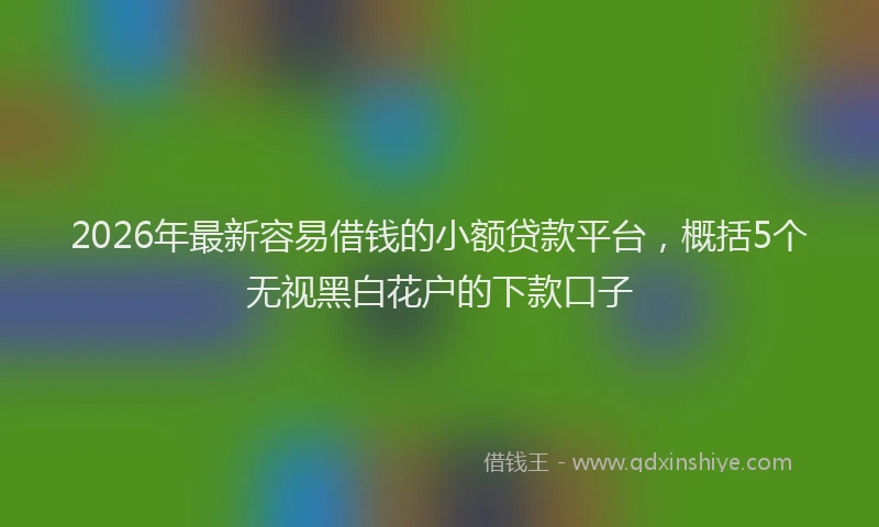 2026年最新容易借钱的小额贷款平台，概括5个无视黑白花户的下款口子